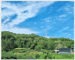  2025Ÿ��3664 ��� û�ֽ� ��籸 ��� ��47      ����(�Ӿ�)���