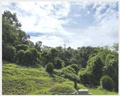  2025Ÿ��3824 ��� û�ֽ� ������ ������ �ϼ��� ��69     ����(�Ӿ�)���