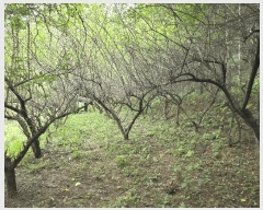  2025Ÿ��3824 ��� û�ֽ� ������ ������ �ϼ��� ��69     ����(�Ӿ�)���