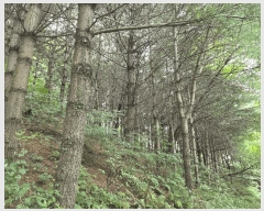  2025Ÿ��3824 ��� û�ֽ� ������ ������ �ϼ��� ��69     ����(�Ӿ�)���