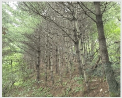  2025Ÿ��3824 ��� û�ֽ� ������ ������ �ϼ��� ��69     ����(�Ӿ�)���