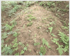  2025Ÿ��3824 ��� û�ֽ� ������ ������ �ϼ��� ��69     ����(�Ӿ�)���