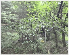  2025Ÿ��3824 ��� û�ֽ� ������ ������ �ϼ��� ��69     ����(�Ӿ�)���