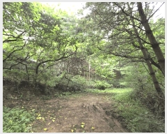  2025Ÿ��3824 ��� û�ֽ� ������ ������ �ϼ��� ��69     ����(�Ӿ�)���