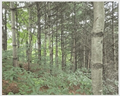  2025Ÿ��3824 ��� û�ֽ� ������ ������ �ϼ��� ��69     ����(�Ӿ�)���