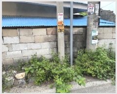  2025Ÿ��3879 ��� û�ֽ� û���� ������ ������ 69-1     ���ð��