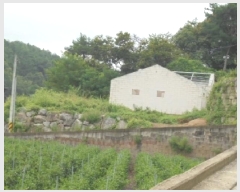  2025Ÿ��4353  �Ӿ߰��