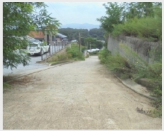  2025Ÿ��4353  �Ӿ߰��