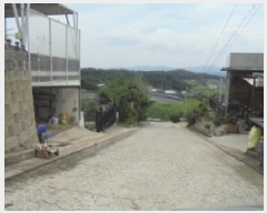  2025Ÿ��4353  �Ӿ߰��