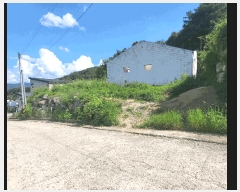  2025Ÿ��4353  �Ӿ߰��