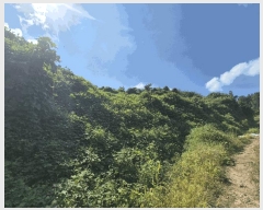  2025Ÿ��4520 ��� ��õ�� ��õ�� �缮�� 511-4      ����(�Ӿ�)���