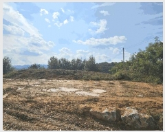  2025Ÿ��4728  �Ӿ߰��