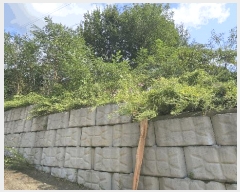  2025Ÿ��4728  �Ӿ߰��