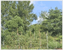  2025Ÿ��4728  �Ӿ߰��