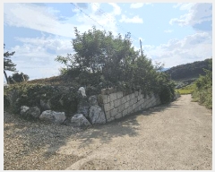  2025Ÿ��4728  �Ӿ߰��