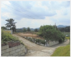  2025Ÿ��4728  �Ӿ߰��