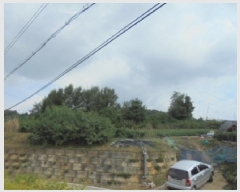  2025Ÿ��4728  �Ӿ߰��