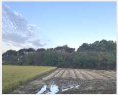  2025Ÿ��5110  �����