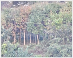  2025Ÿ��5110  �����