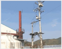  2025Ÿ��5257  ������