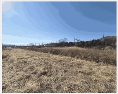  2025Ÿ��5448  ����