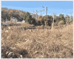  2025Ÿ��5448  ����