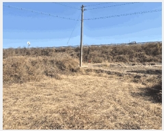  2025Ÿ��5448  ����