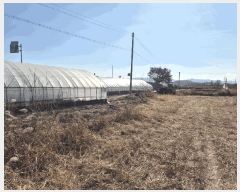  2025Ÿ��5448  ����