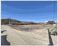  2025Ÿ��5448  ����