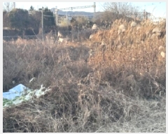  2025Ÿ��5448  ����