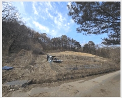  2025Ÿ50852  ûֽ 籸  121      (Ӿ)