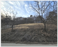  2025Ÿ50852  ûֽ 籸  121      (Ӿ)