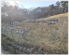  2025Ÿ50852  ûֽ 籸  121      (Ӿ)