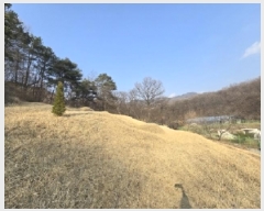  2025Ÿ50852  ûֽ 籸  121      (Ӿ)