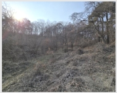  2025Ÿ50852  ûֽ 籸  121      (Ӿ)