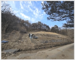  2025Ÿ50852  ûֽ 籸  121      (Ӿ)