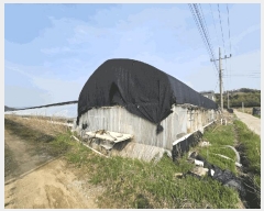  2025Ÿ51015  ûֽ 籸 ϸ 긮 506-3     ()