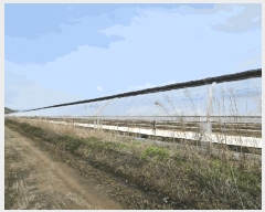  2025Ÿ51015  ûֽ 籸 ϸ 긮 506-3     ()