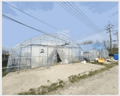  2025Ÿ51015  ûֽ 籸 ϸ 긮 506-3     ()