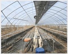  2025Ÿ51015  ûֽ 籸 ϸ 긮 506-3     ()