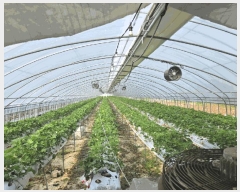  2025Ÿ51015  ûֽ 籸 ϸ 긮 506-3     ()