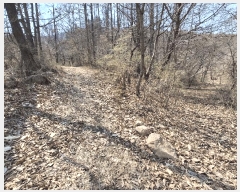  2025Ÿ51035   θ Ӱ 369      (1)