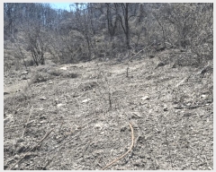  2025Ÿ51035   θ Ӱ 369      (1)