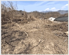  2025Ÿ51035   θ Ӱ 369      (1)