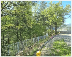  2025Ÿ51155  ûֽ 籸 ̿ ϸ 30-30     (Ӿ)