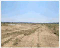  2025Ÿ��51208  ����