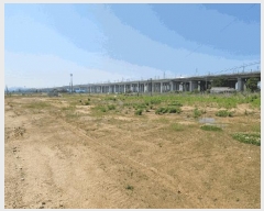  2025Ÿ��51208  ����