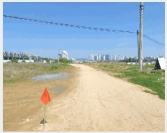  2025Ÿ��51208  ����