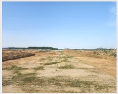  2025Ÿ��51208  ����