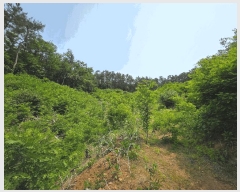  2025Ÿ51259  ûֽ   ϸ 30     (Ӿ)